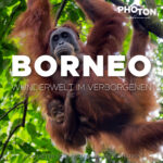 Live-Reportage Borneo