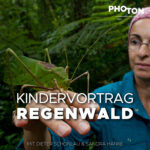 Kinder-Vortrag Regenwald