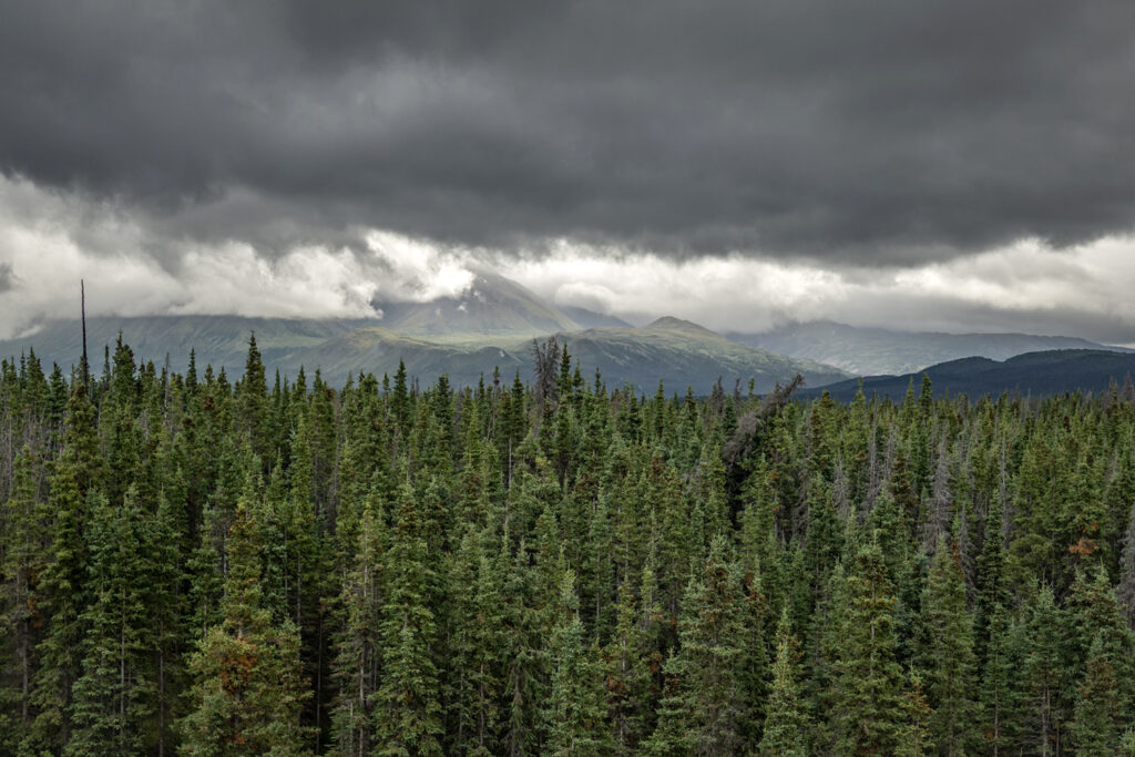 Reise zum Klima, Alaska-Highway, Yukon,