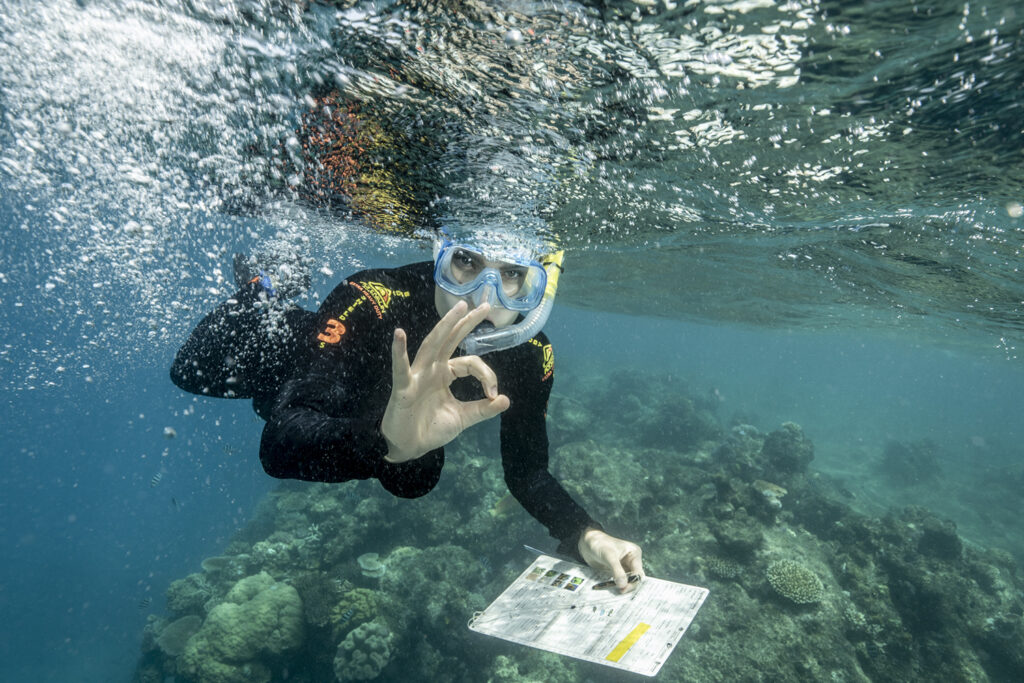 Reise zum Klima, Australien, Cairns, Great Barrier Reef, Diving, be a marine biologist,
