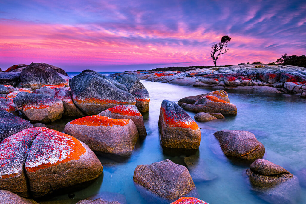 Bay of Fires, Tasmanien