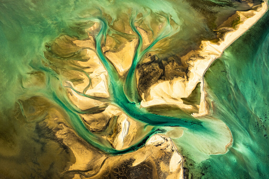 "The Tree" Shark Bay