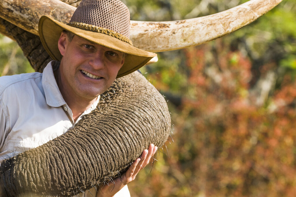 Elefant mit Mann, Elefant Sanctuary Hazyview, Mpumalanga, Südafrika, Afrika