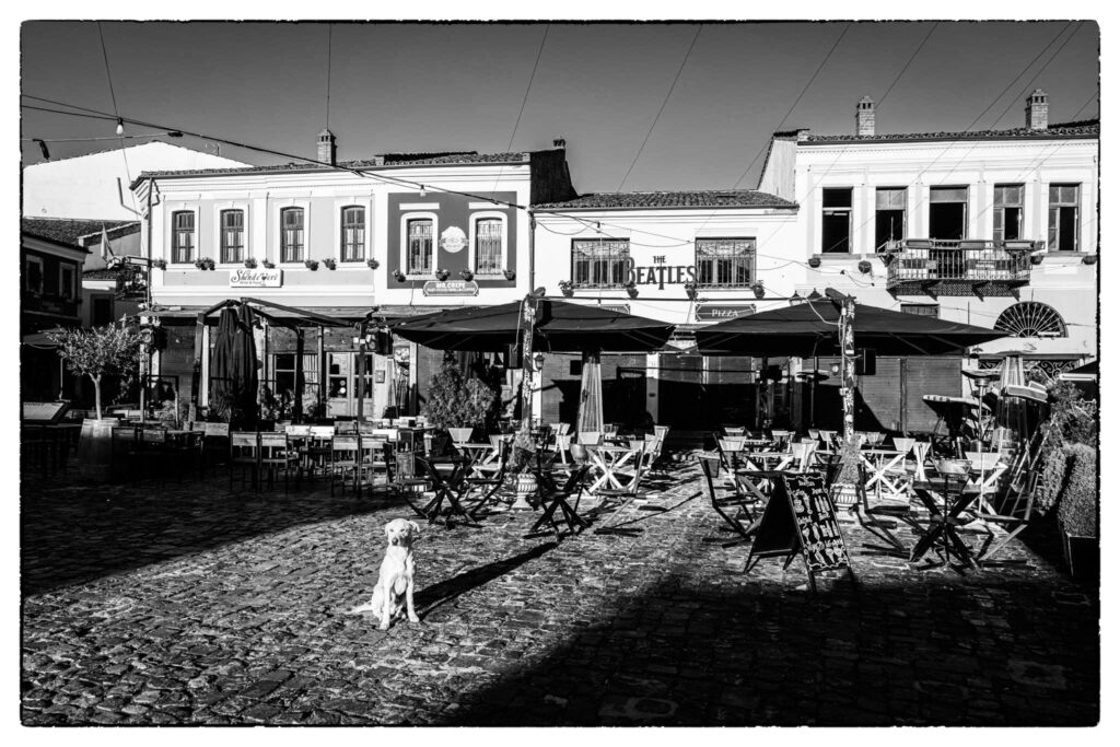 Europa, Albanien: Korca. Alter Basar, heute vor allem Ausgehviertel mit Bars und Restaurants.

Europe, Albania: Korca. Old bazaar, today mainly nightlife district with bars and restaurants.

04.2022