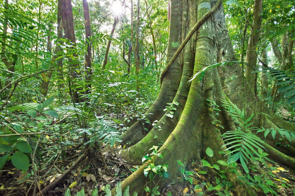 08-20140612-_DSC5950-fetig Kopie