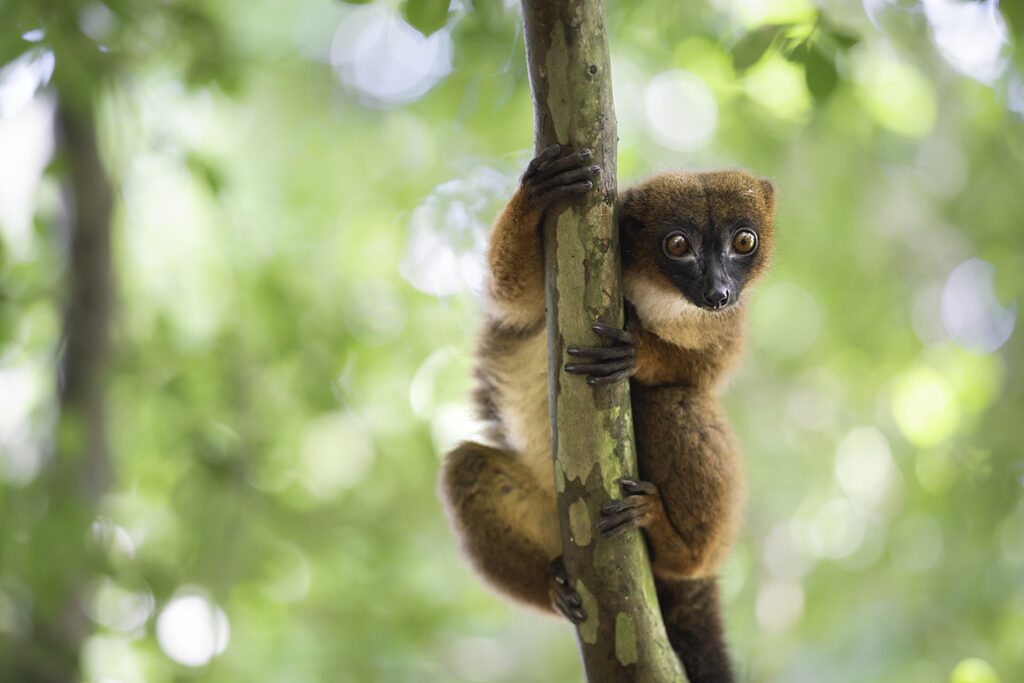 _1171709-Bearbeitet-Bearbeitet