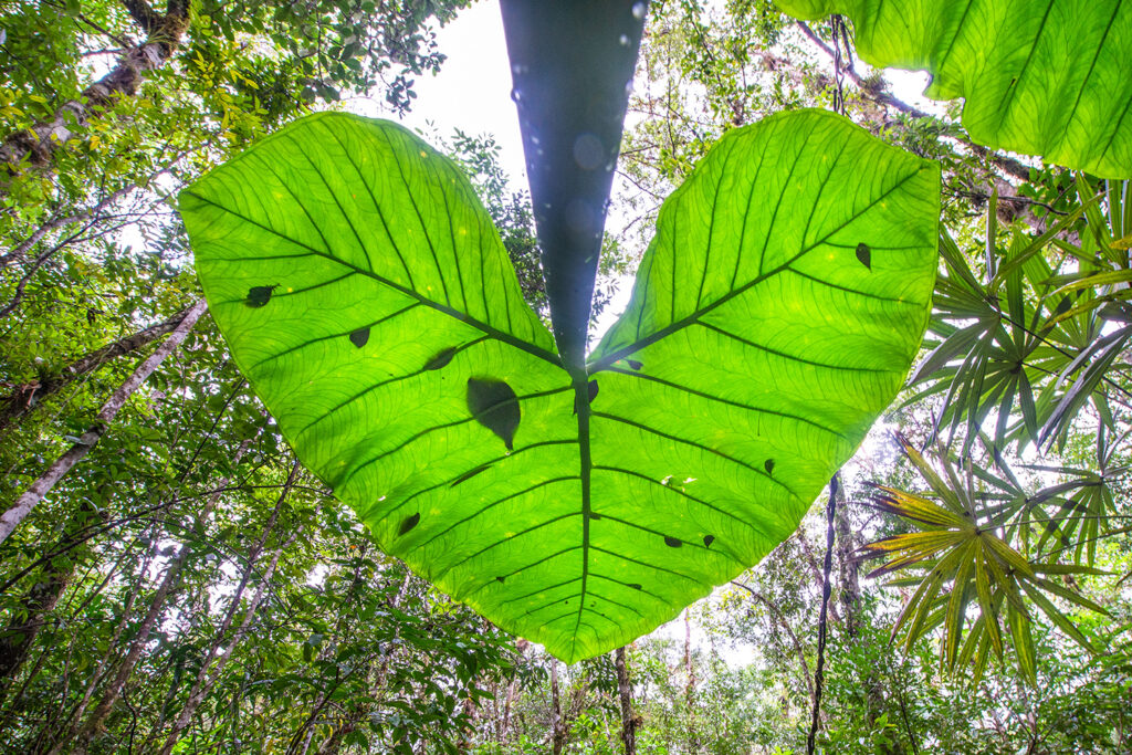 20130126-_6007358 Kopie