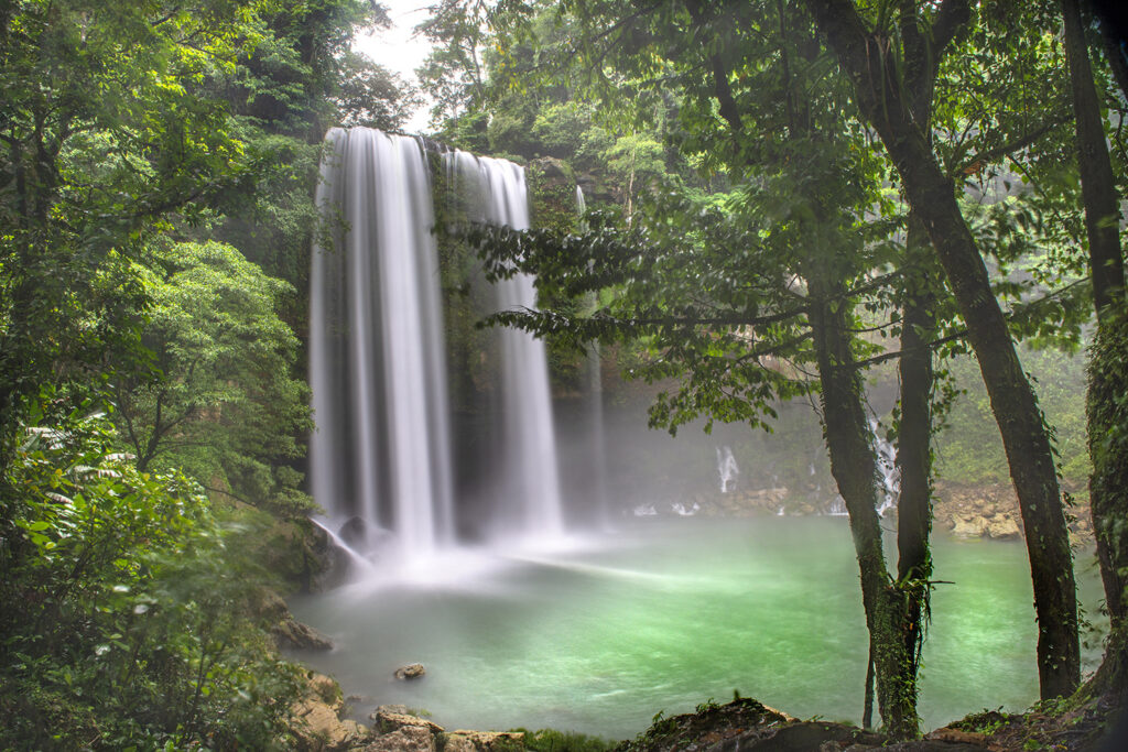 20140611-_8002207-fertig Kopie