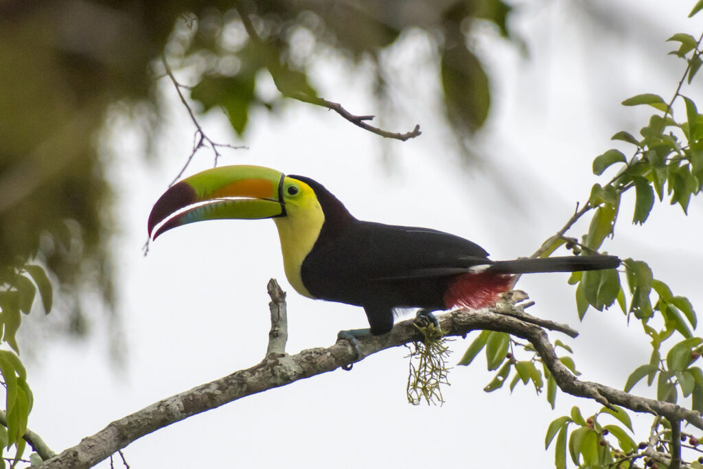 martin-engelmann.com