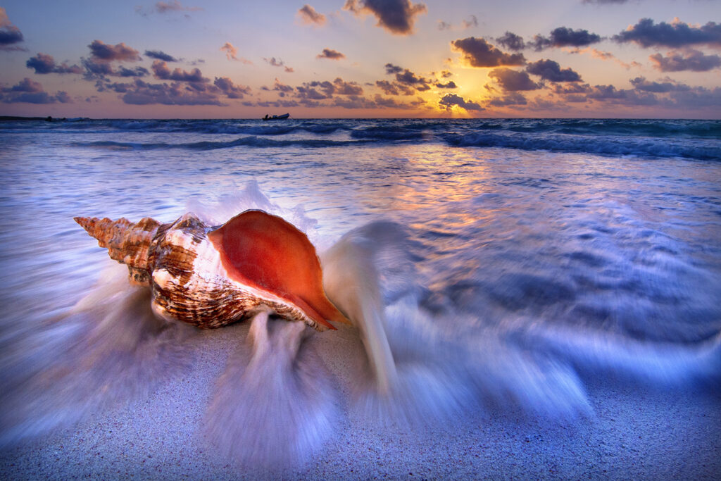 _DSC0045-fertig Kopie