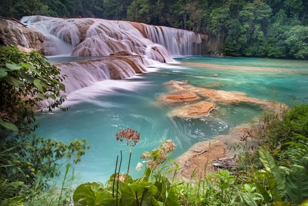 _DSC2919-fertig Kopie