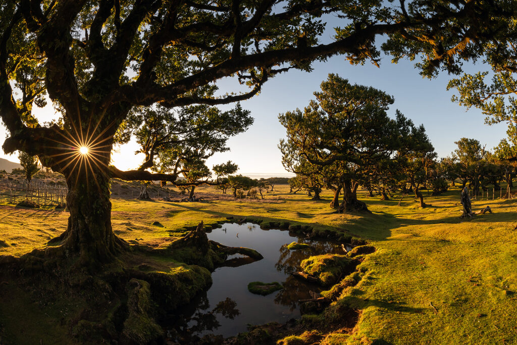 Daniel Spohn-Blendenstern Kopie