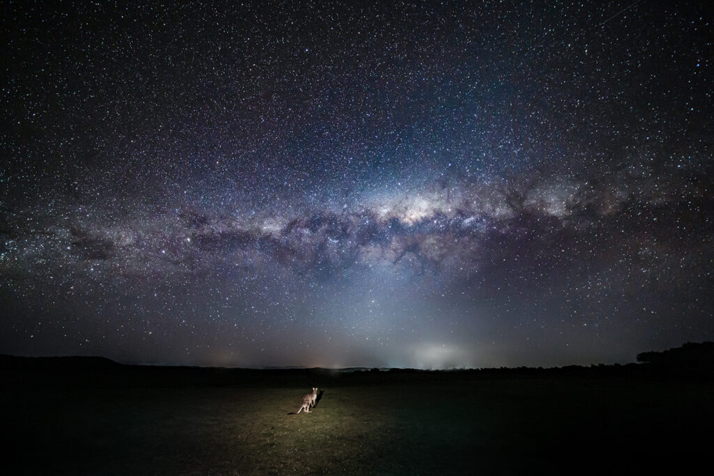 Daniel Spohn-milkyway-roo