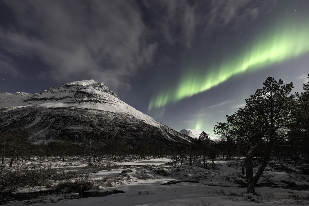 Daniel-Spohn_1160299-Bearbeitet_-8