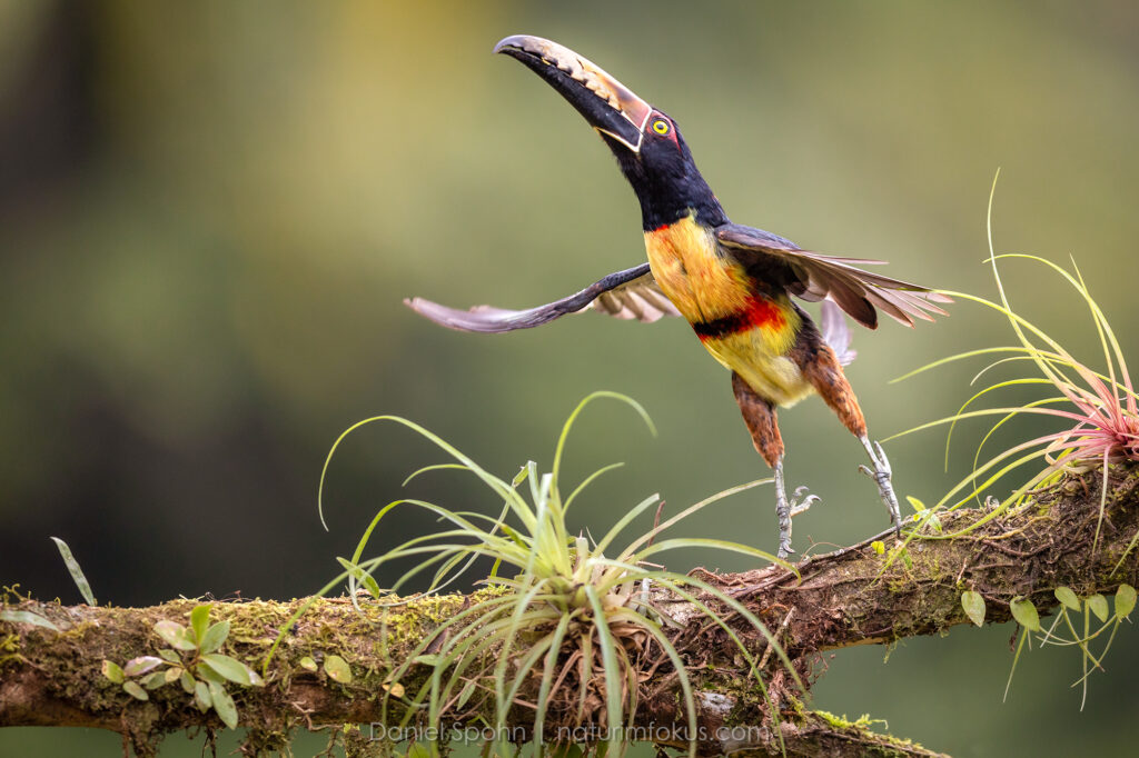 Daniel Spohn_L4A1983 Kopie