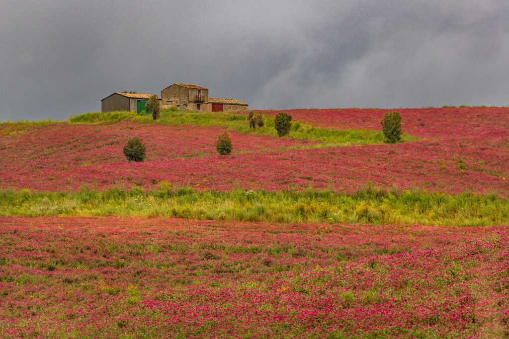 Kopie von 20171221-DSC_0768 Kopie