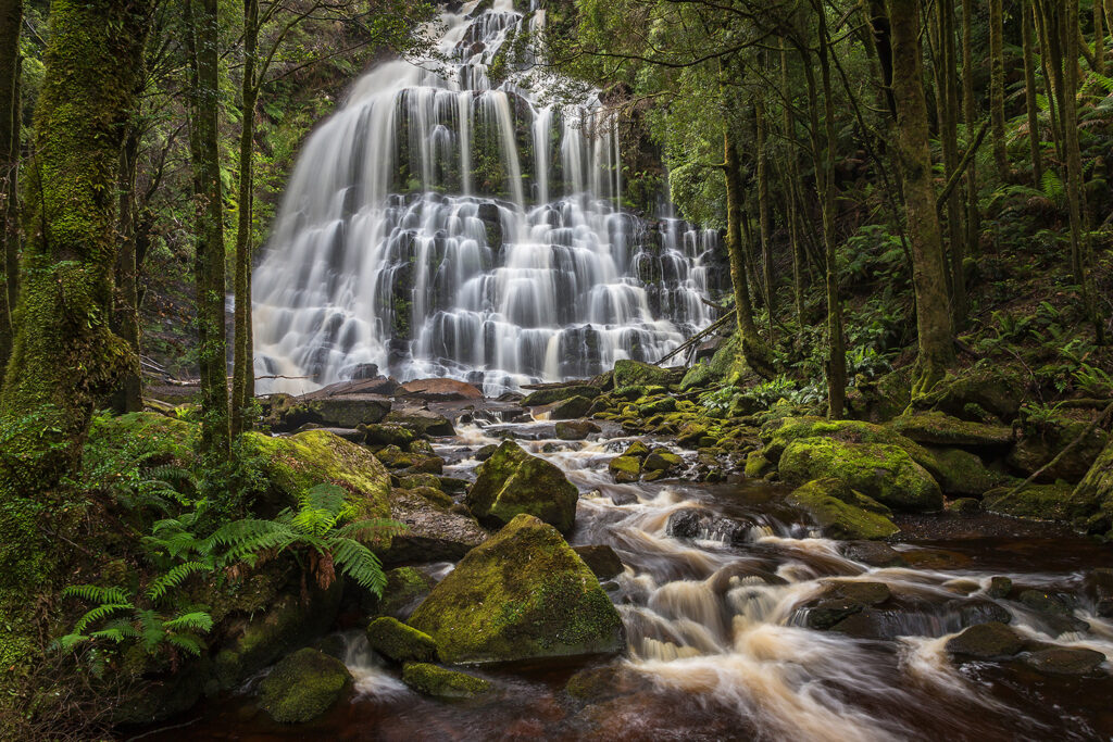 Tasmanien_Daniel_Spohn (1) Kopie