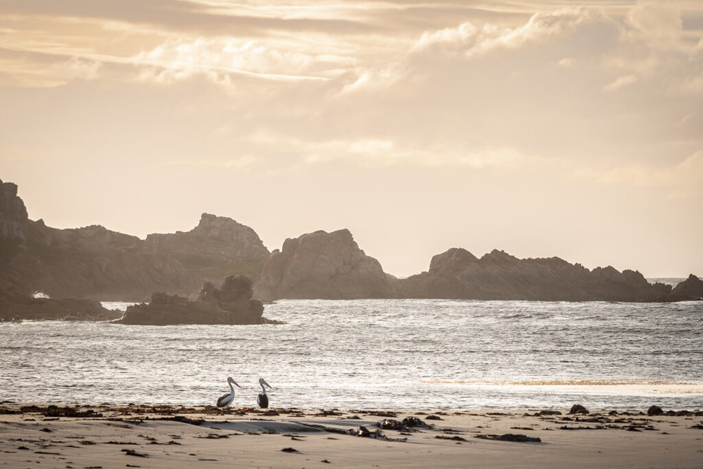 Tasmanien_Daniel_Spohn (10) Kopie