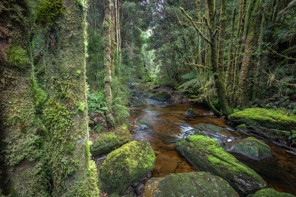 Tasmanien_Daniel_Spohn (18) Kopie