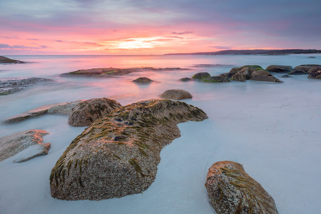 Tasmanien_Daniel_Spohn (6) Kopie