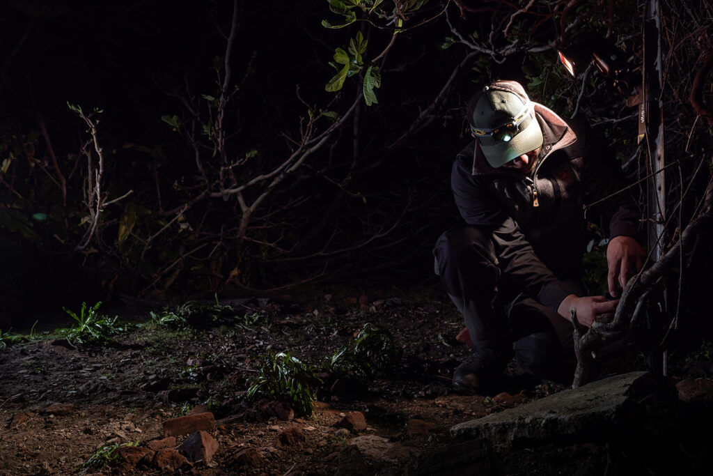 Tasmanien_Daniel_Spohn (9) Kopie