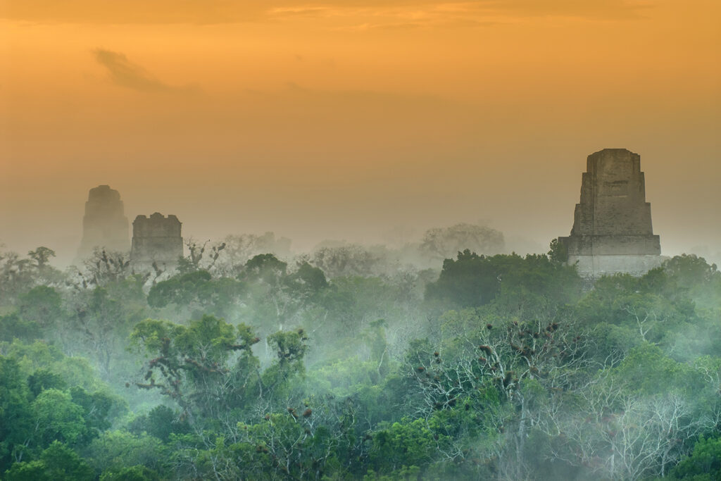 gaia-2022-print-fertig- Kopie